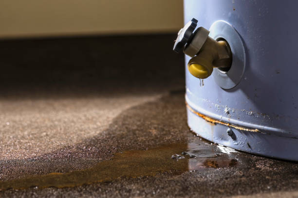 Best Fire Damage Restoration  in Maria Stein, OH