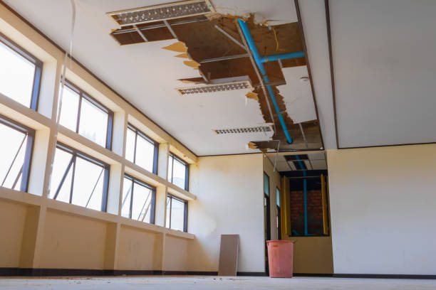 Best Water damage contractors near me  in Maria Stein, OH