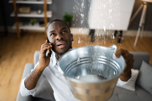 Best Emergency water damage restoration  in Maria Stein, OH