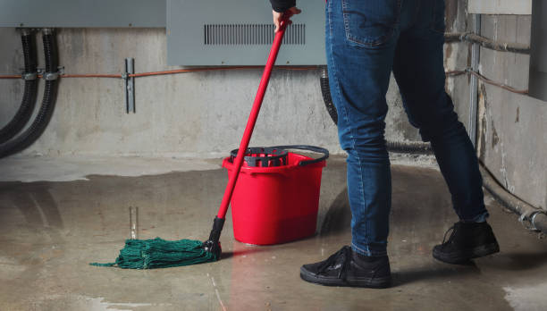 Best Ceiling water damage repair  in Maria Stein, OH
