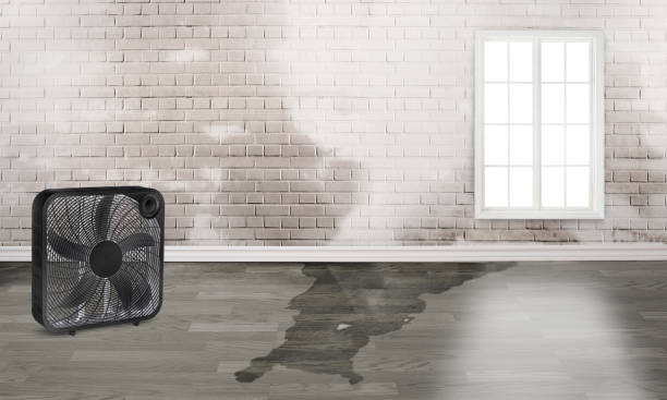 Water damage restoration process in Maria Stein, OH