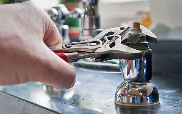 Best Water damage contractors near me  in Maria Stein, OH