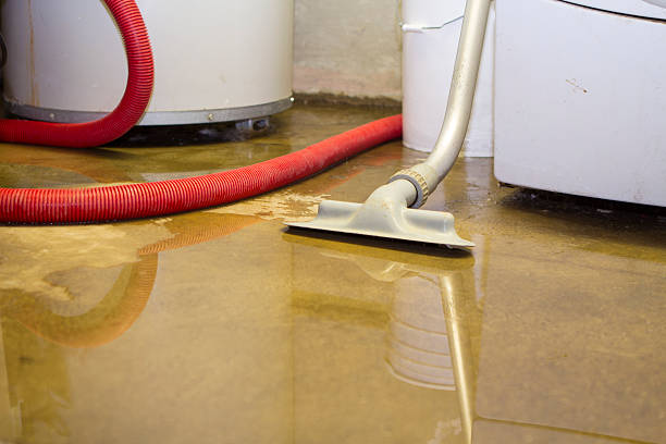 Best Sewage cleanup and water damage restoration  in Maria Stein, OH