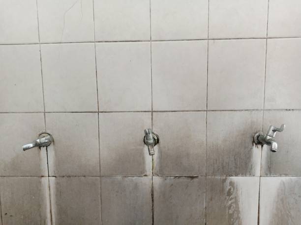 Best Water damage restoration insurance claims  in Maria Stein, OH