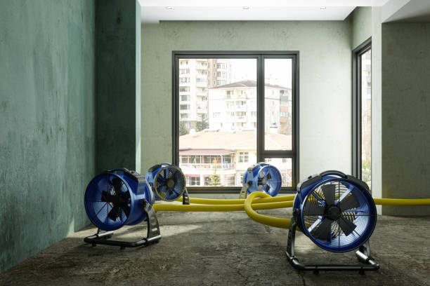 Best Water damage restoration near me  in Maria Stein, OH