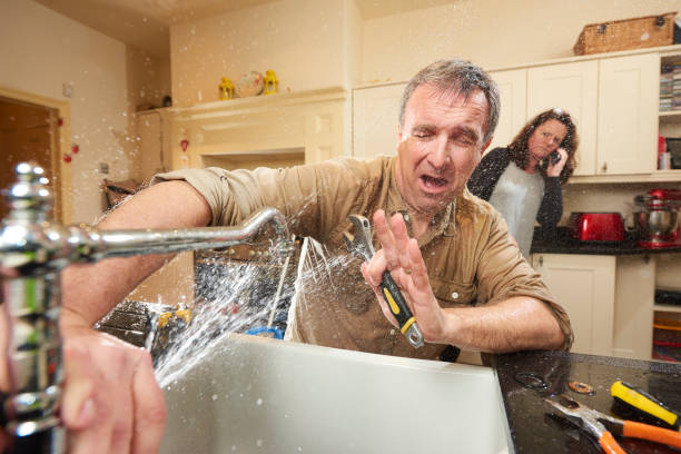 Best Flood damage cleanup  in Maria Stein, OH